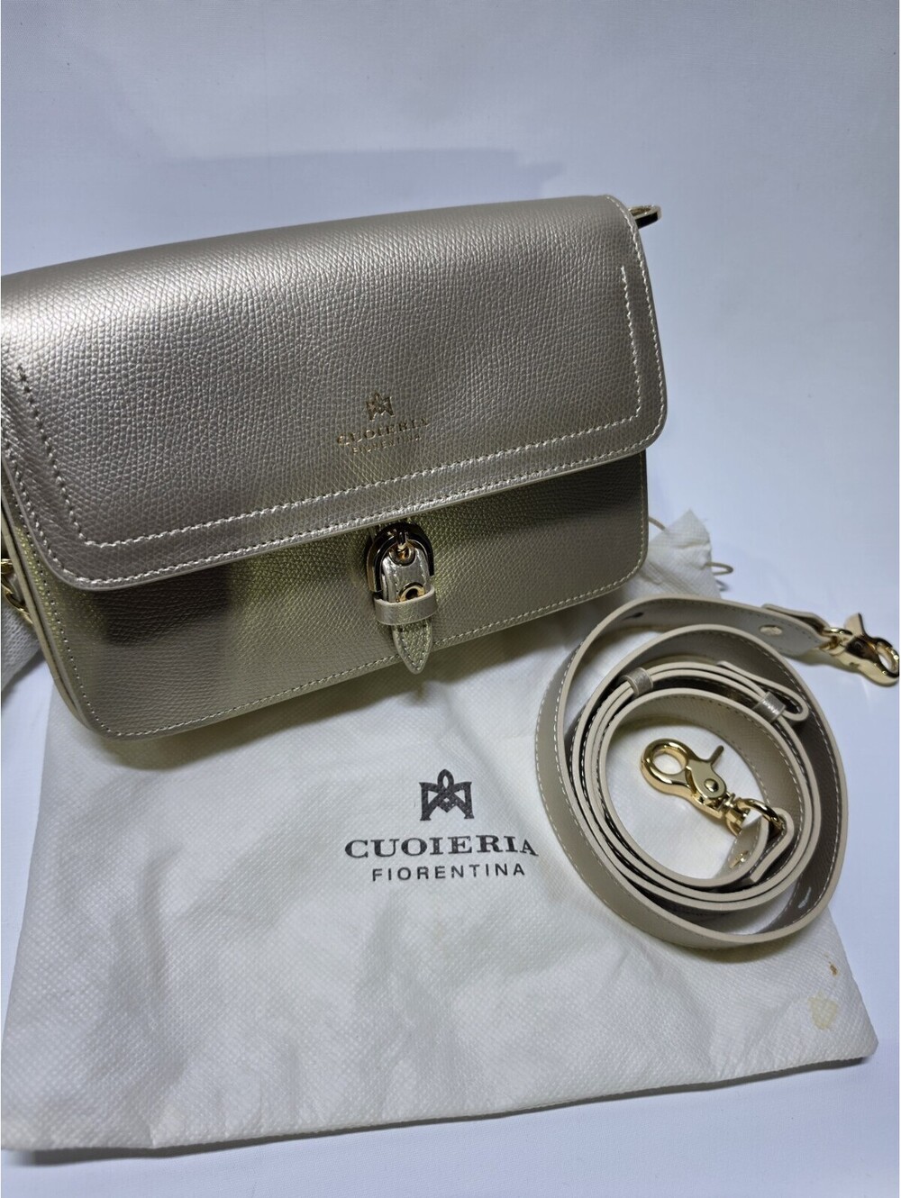 Cuoieria Fiorentina Silver Metallic Crossbody Bag Chain Strap Snap Gold HW